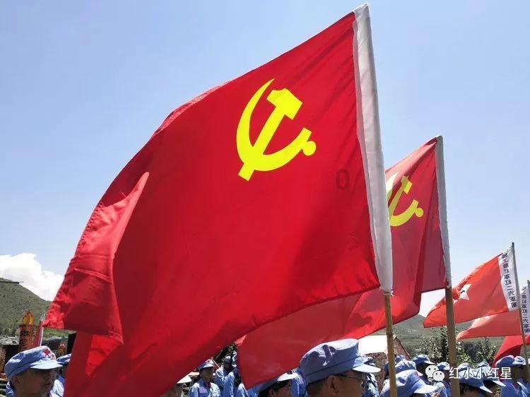 数码宝贝8